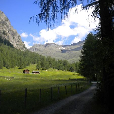Bed and Breakfast Haus Pinter Assling Exterior foto