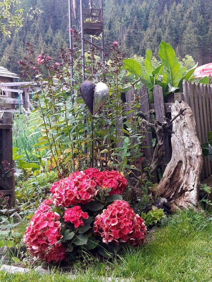 Bed and Breakfast Haus Pinter Assling Exterior foto