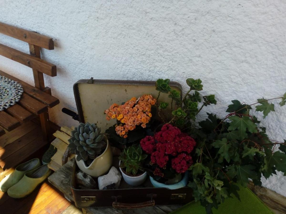 Bed and Breakfast Haus Pinter Assling Exterior foto