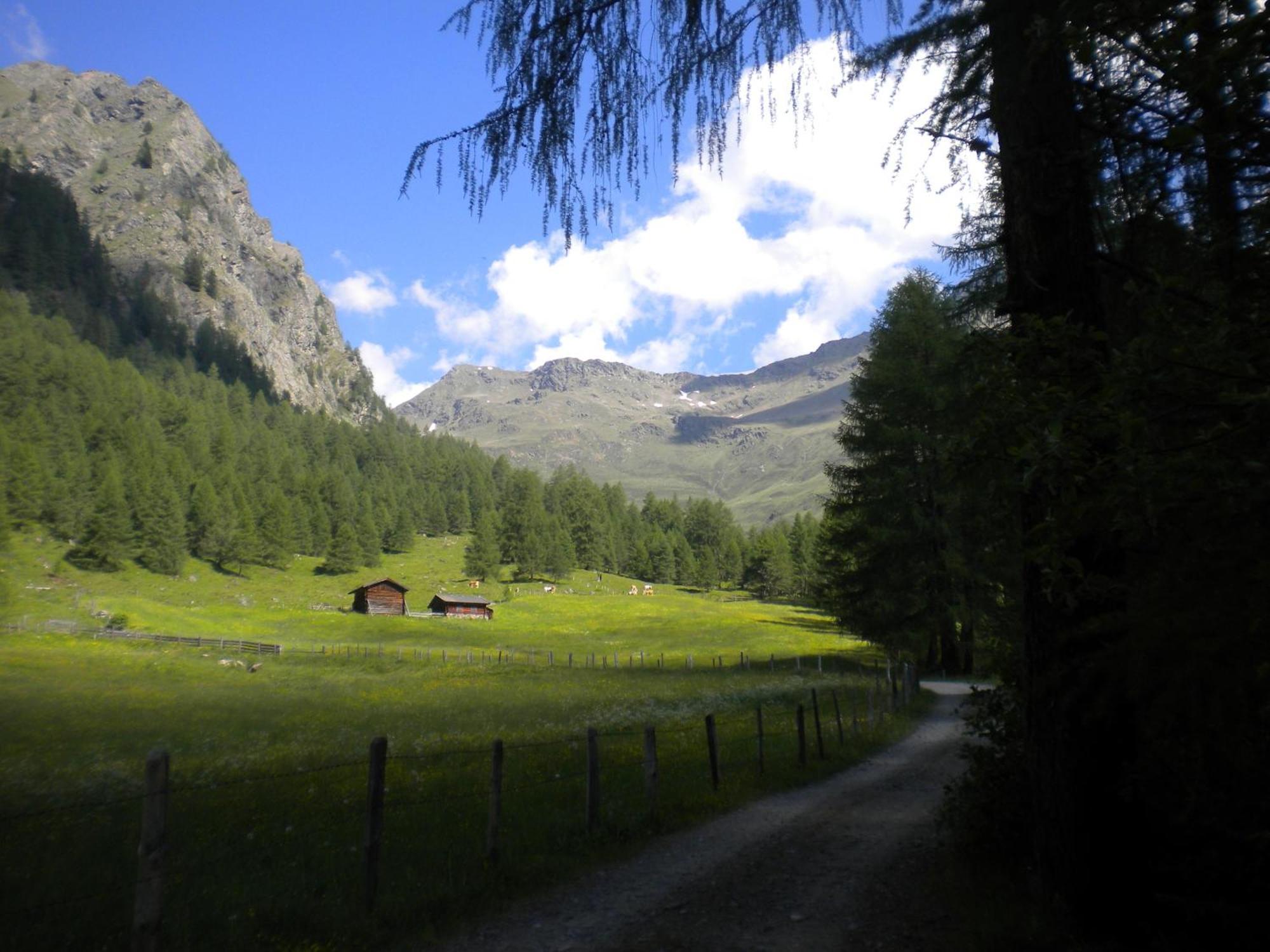Bed and Breakfast Haus Pinter Assling Exterior foto